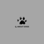 Logo design featuring the letter 'Q' creatively integrated with dog imagery, symbolizing a focus on canine topics.