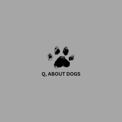 Logo design featuring the letter 'Q' creatively integrated with dog imagery, symbolizing a focus on canine topics.