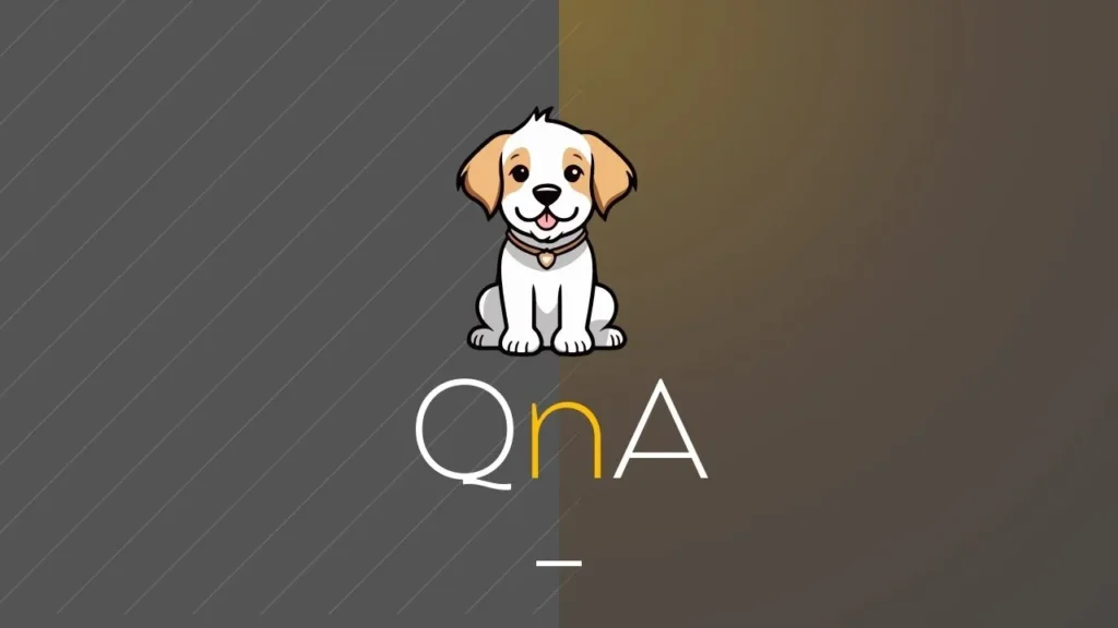 A dog sits attentively in front of the word "QNA," showcasing a curious and friendly demeanor.