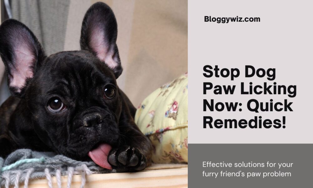 Quick Home Remedies: How to Stop Dog from Licking Paws