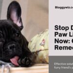 Quick Home Remedies: How to Stop Dog from Licking Paws