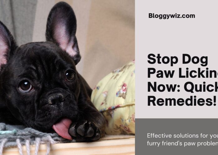 Quick Home Remedies: How to Stop Dog from Licking Paws