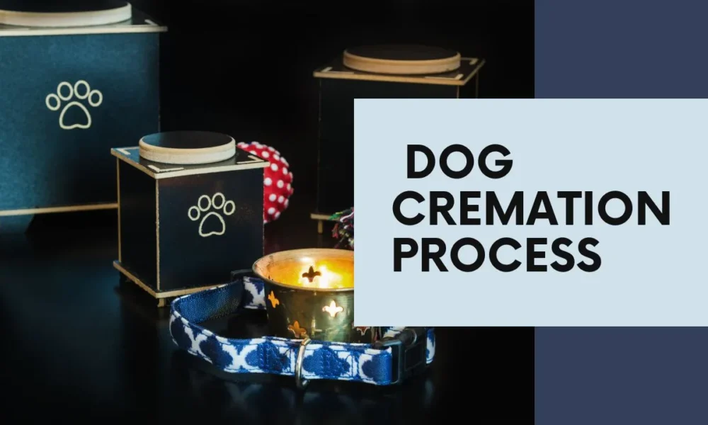 How Much Does It Cost To Cremate A Dog