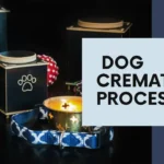 How Much Does It Cost To Cremate A Dog