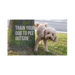 A dog stands beside a tree, with text overlay: "Train your dog to pee outside" in a clear, engaging font.