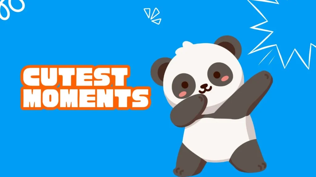 A playful panda engages in a fun game, showcasing adorable moments of joy and curiosity.