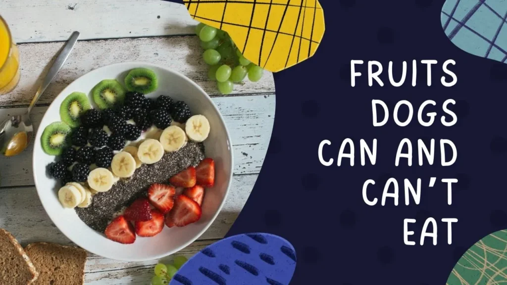 Fruits Dogs Can and Can’t Eat