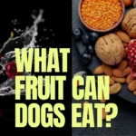 What Fruit & Vegetables Can Dogs Eat? | Benefits | FAQs