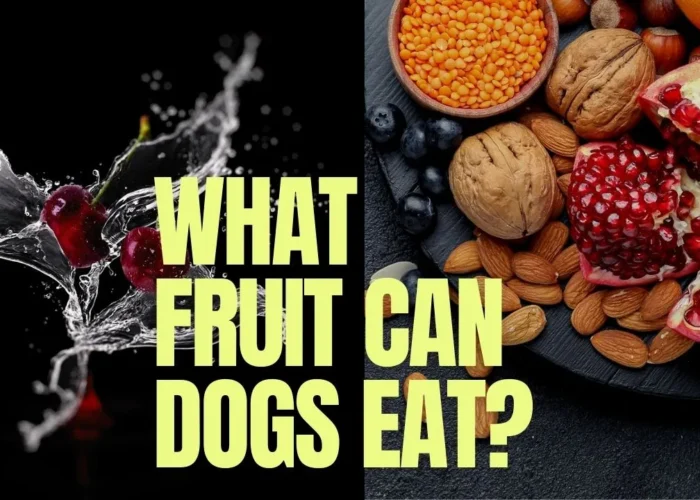 What Fruit & Vegetables Can Dogs Eat? | Benefits | FAQs