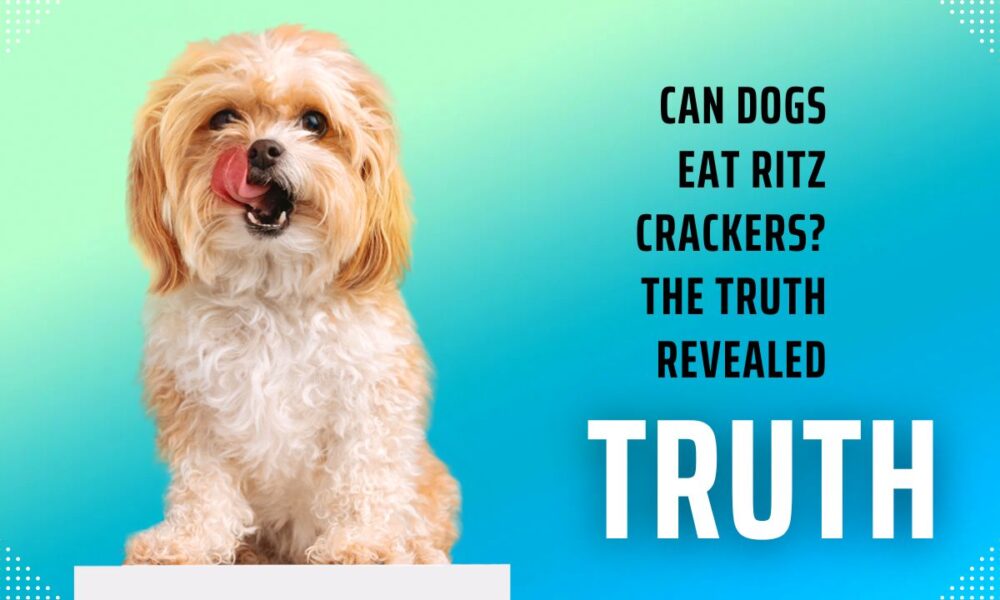 Can Dogs Eat Ritz Crackers? The Truth Revealed