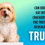 Can Dogs Eat Ritz Crackers? The Truth Revealed