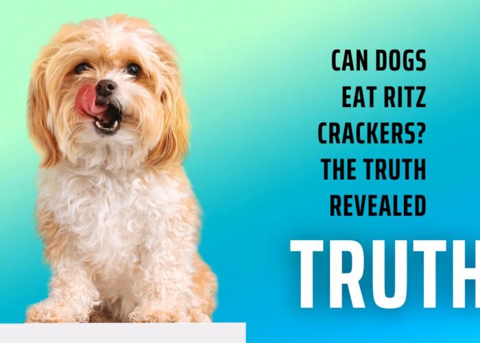 Can Dogs Eat Ritz Crackers? The Truth Revealed