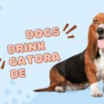 Can Dogs Have Gatorade for Nausea? Find Out Now!