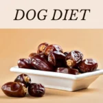 Can Dog Eat Dates Fruit? Benefits Dates For Dogs