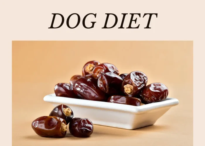 Can Dog Eat Dates Fruit? Benefits Dates For Dogs