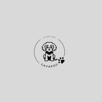 A stylish logo design featuring a cavapoo, showcasing its playful and friendly nature in a modern aesthetic.