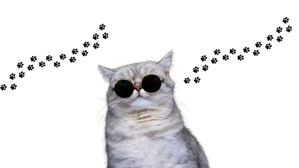 A cool cat sporting sunglasses, surrounded by playful paw prints on a vibrant background.