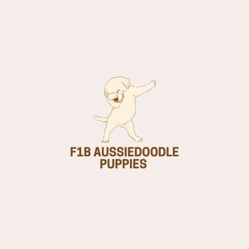 A dog joyfully runs, accompanied by the text "f1b ausiedoodle puppies" in a vibrant outdoor setting.