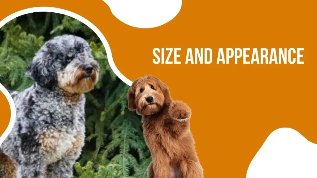 Two dogs standing side by side, showcasing their size and appearance in a friendly manner.