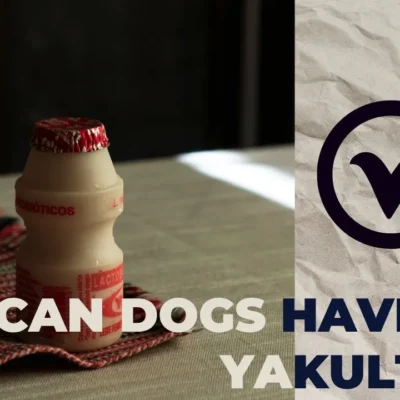 Can Dogs Have Yakult? Explore Serving, Risks & Probiotics