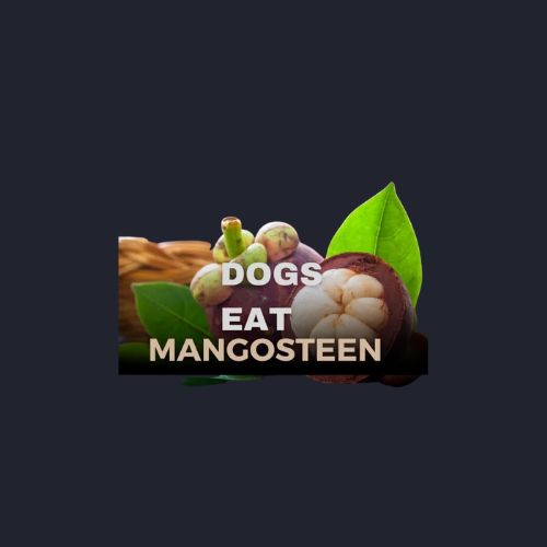 Logo featuring dogs eating mangosteen on a sleek black background, emphasizing a playful and vibrant theme.