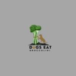 A dog happily munching on broccoli, accompanied by the text "Dogs Eat Broccoli" in a playful font.