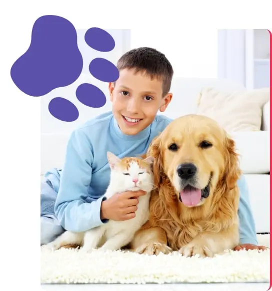 A boy and his dog sit on the floor, while a cat lounges nearby, creating a cozy scene of companionship.