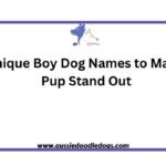 1. A collection of 400 unique boy names for dogs, perfect for making your pup stand out at the dog park.